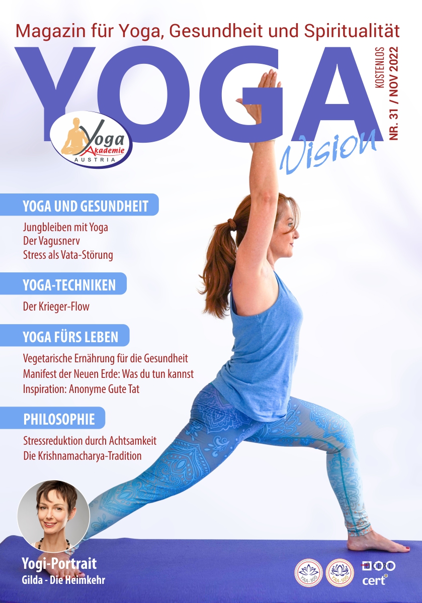 Cover Yoga Vision